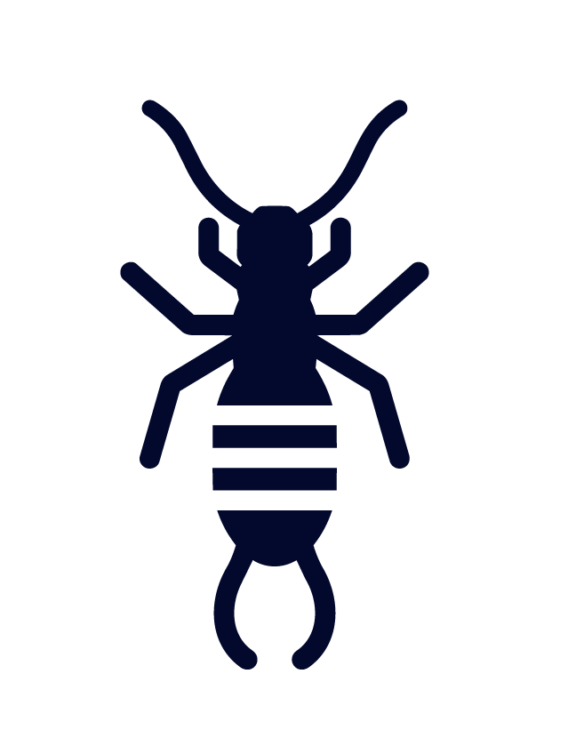Silverfish icon.