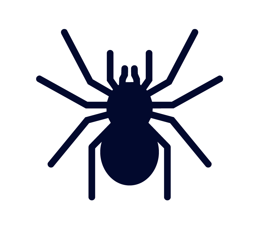 Spider icon.