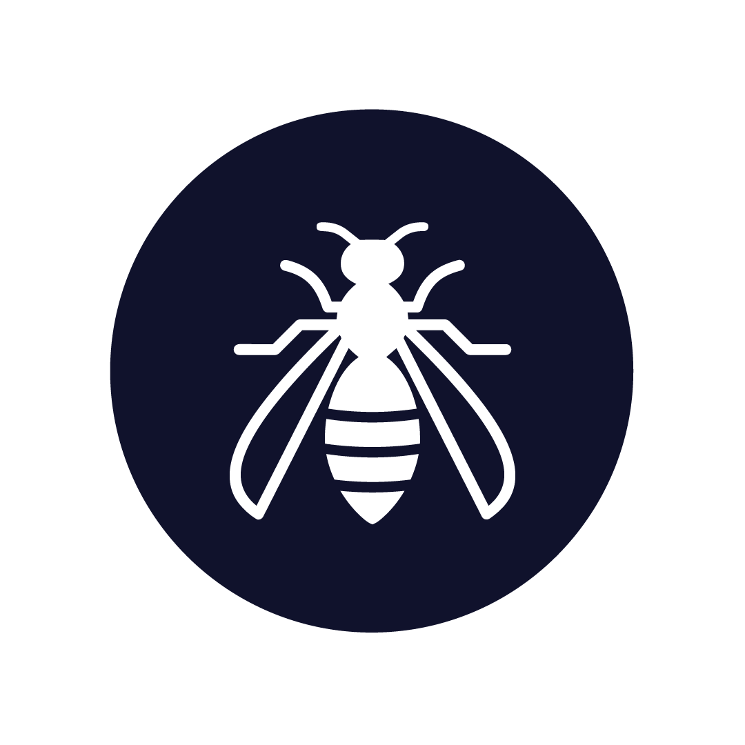 Wasp icon