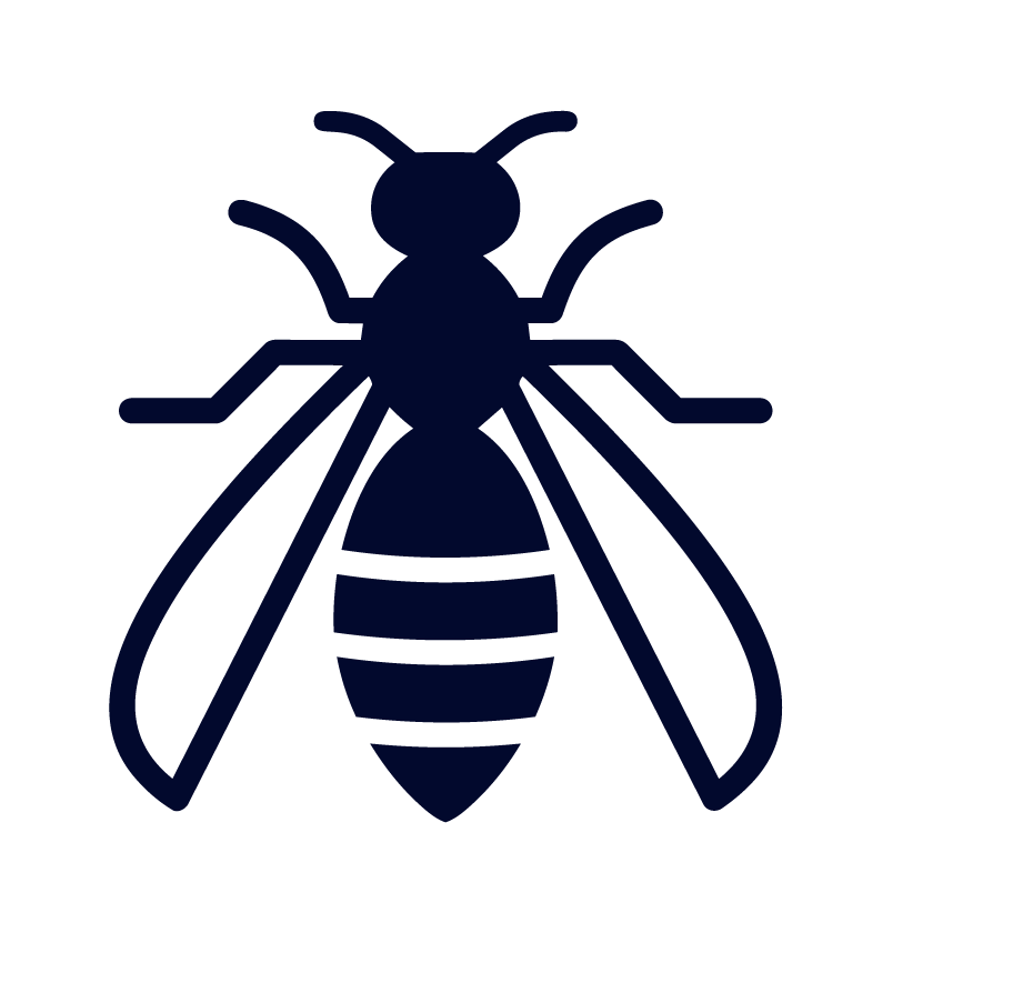 Wasp icon.